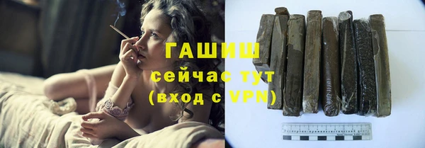 стаф Касимов