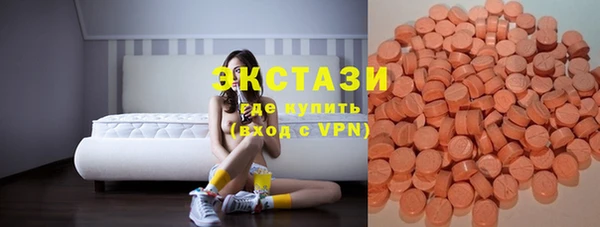 стаф Касимов