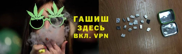 стаф Касимов