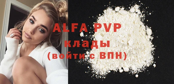 стаф Касимов
