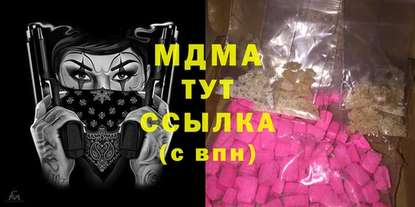 стаф Касимов