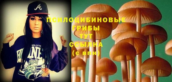 гашишное масло Карпинск